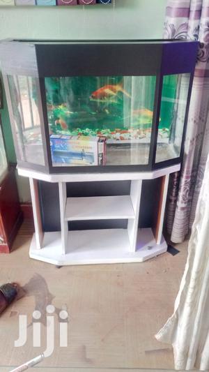 Corner Tank Aquarium
