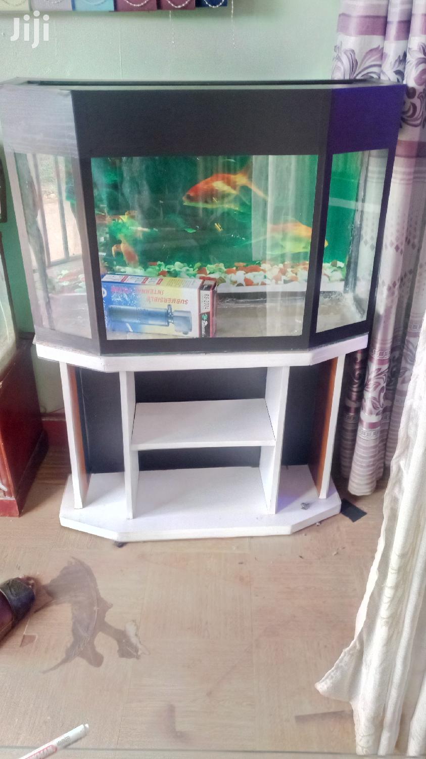 Corner Tank Aquarium