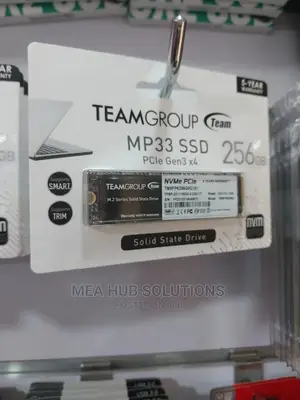 256ssd M2 Drive