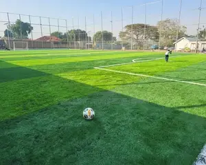 Artificial Turf Grass Carpet Grass Carpet Grass Carpet
