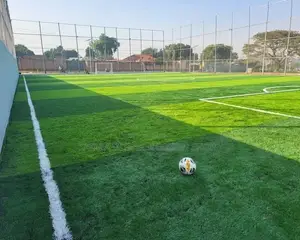 Artificial Turf Grass Carpet Grass Carpet Grass Carpet