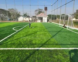 Artificial Turf Grass Carpet Grass Carpet Grass Carpet