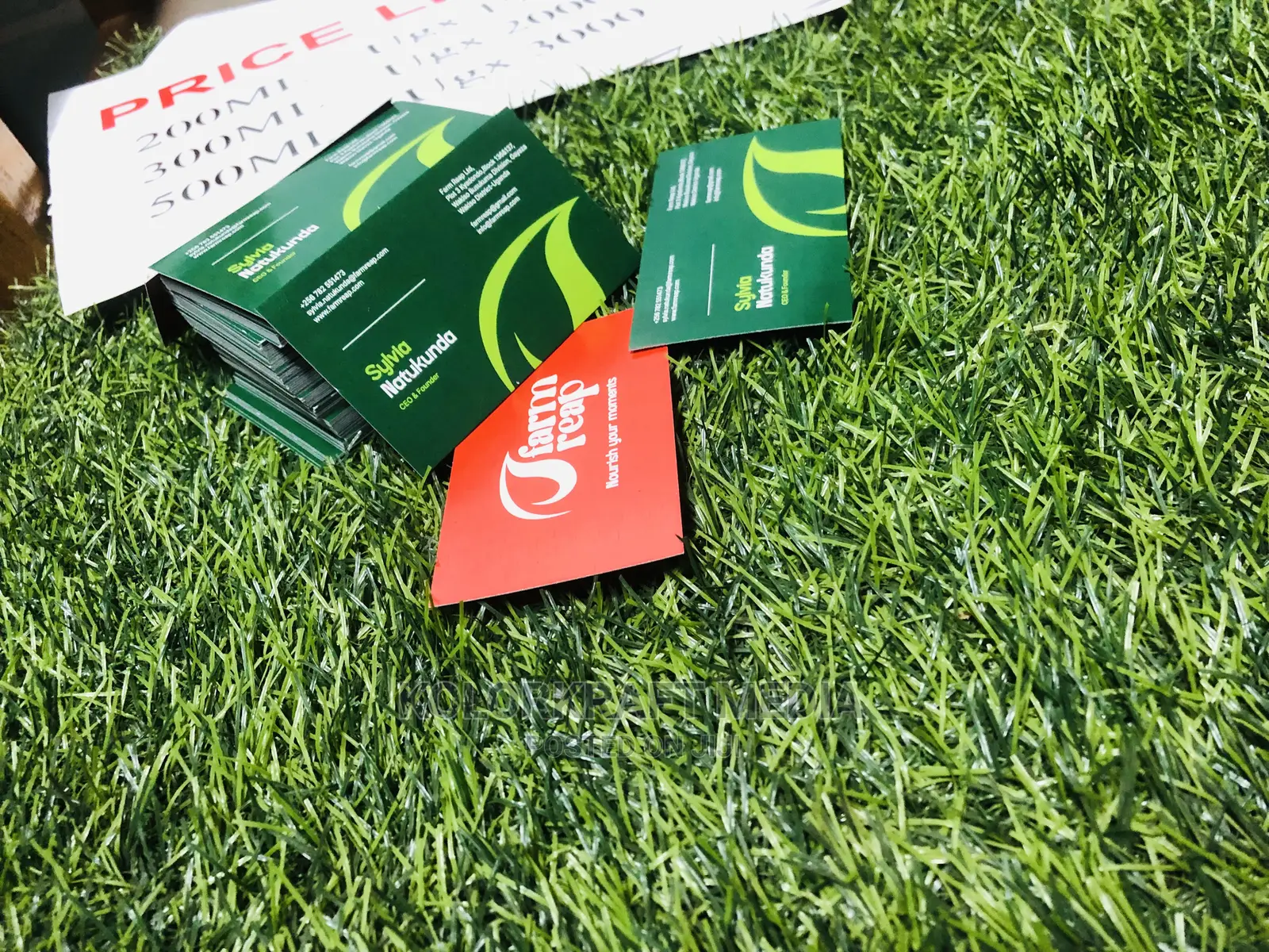 Business Cards