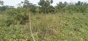 Very Hot 10 Acres Onquicksale Inheart of Nakaseke With Title