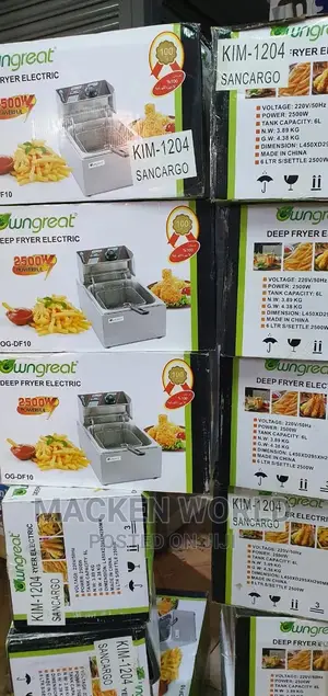 Deep Fryer Double