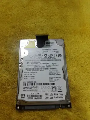 WD 80 Gb Hard Drive
