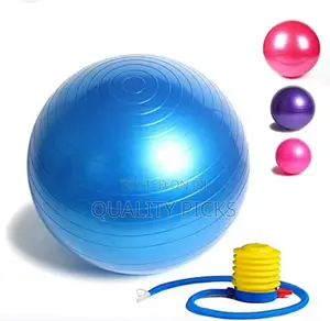 Free Pump Gym Ball
