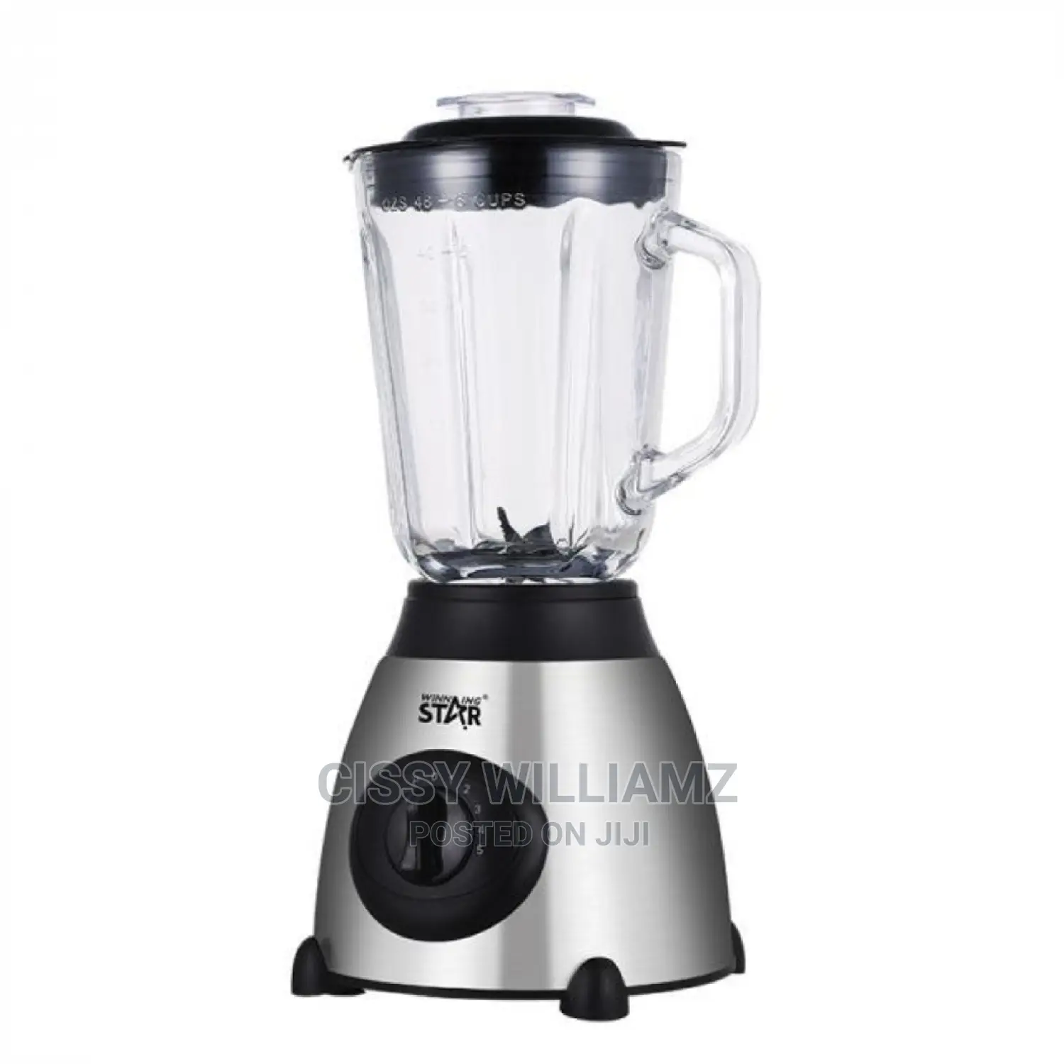 Winning Star Blender Juice Blender/Electric Blender/Blender