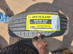 205/65r15 Dunlop