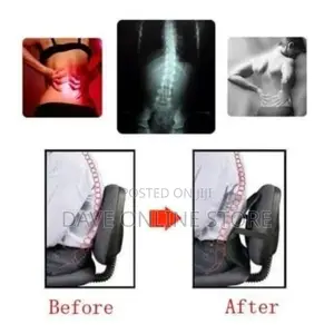 Home And Office Air Mesh Back Support-