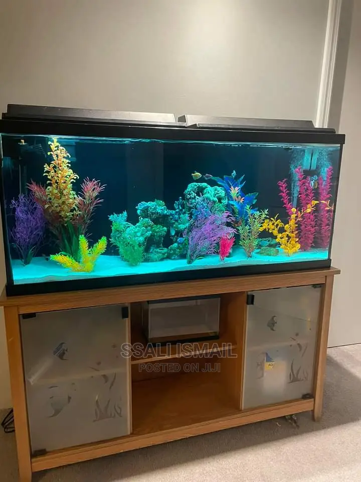 Looking Nice Placed on a Well Design Wooden Stand