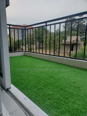 Artificial Turf Grass Carpet/Grass Carpet/Grass Carpet