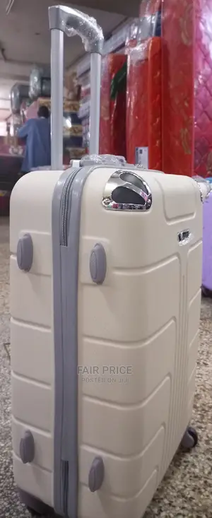 Plastic Suitcases (Silver)