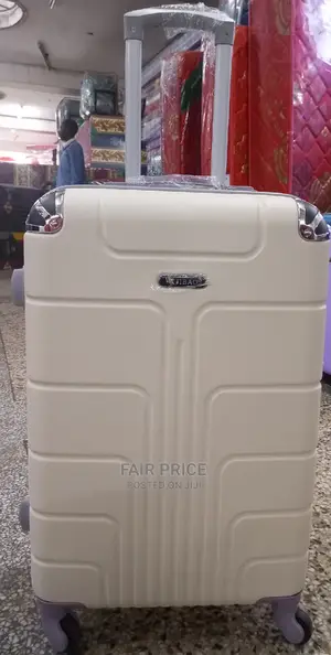 Plastic Suitcases (Silver)