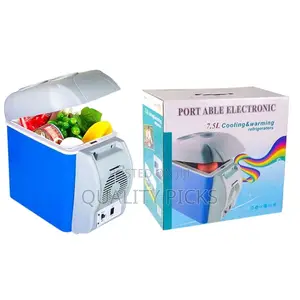 Mini Car Fridge