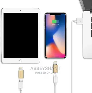 Type C to iPhone Connector