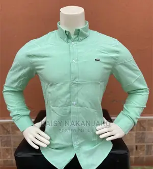 Pure Cotton Plain Shirts