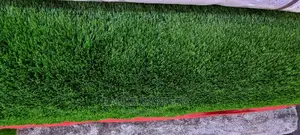 Artificial Grass
