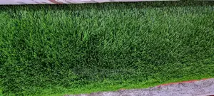 Artificial Grass