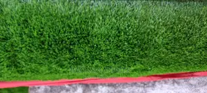 Artificial Grass