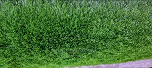 Artificial Grass