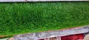 Artificial Grass