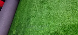 Artificial Grass