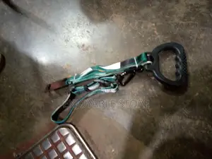 Dog Leash and Harns
