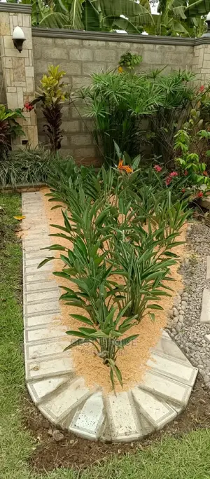 Kampalas Best Compound Designing and Land Scaping Services.