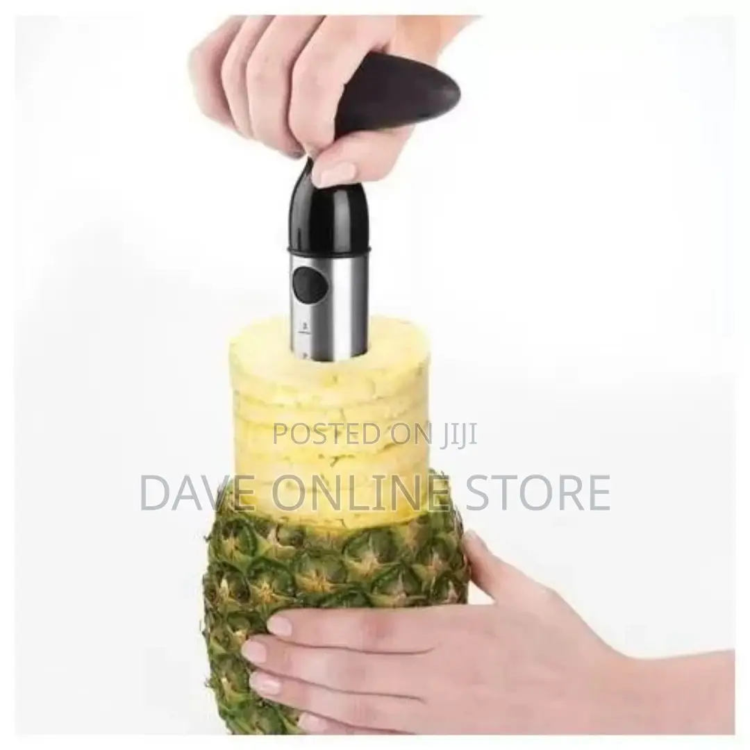 Easy Slice Pineapple Slicer/Peeler and Corer – Silver