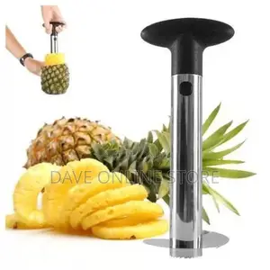Easy Slice Pineapple Slicer/Peeler and Corer – Silver