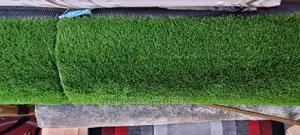 Artificial Grass