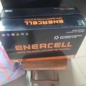 N100 Enercell Batteries.