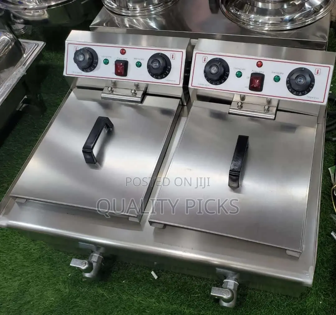 Double Electric Deep Fryer