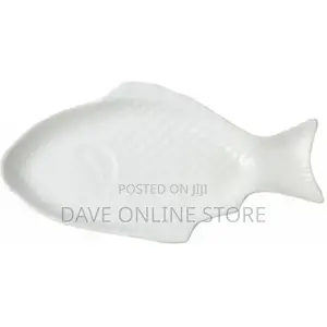 11 Inch Steak, Fish Plate Tray Dinner Platter, Bowl- White