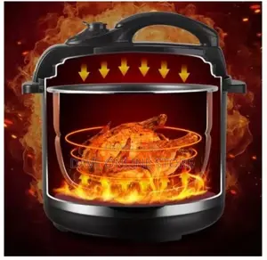 Sonifer 6L Electric Rice/Pressure Cooker,