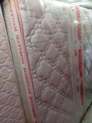 Mattress Spring 5*6 Inches 10( White)