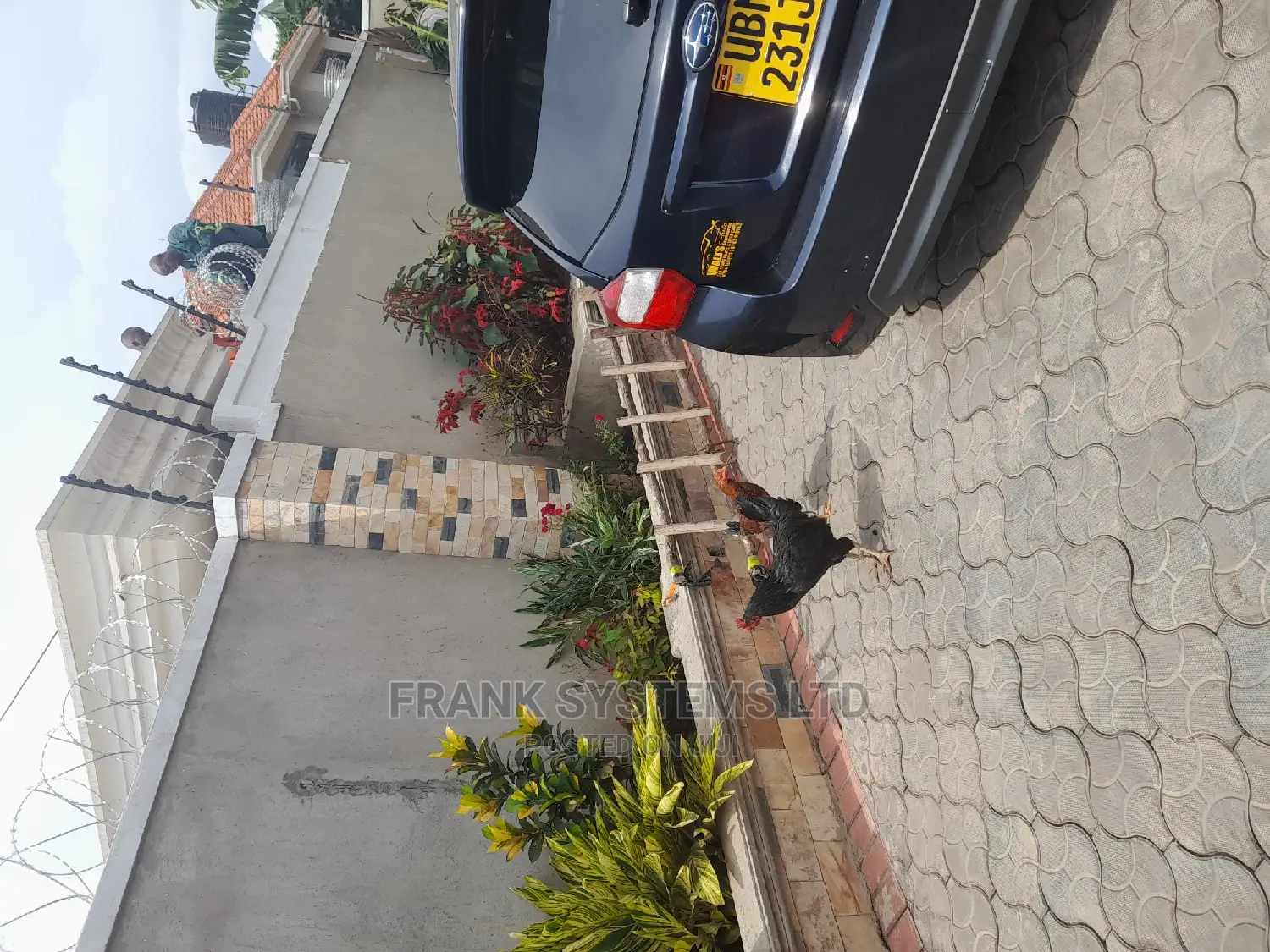 Electric Fence System Fully Equipped