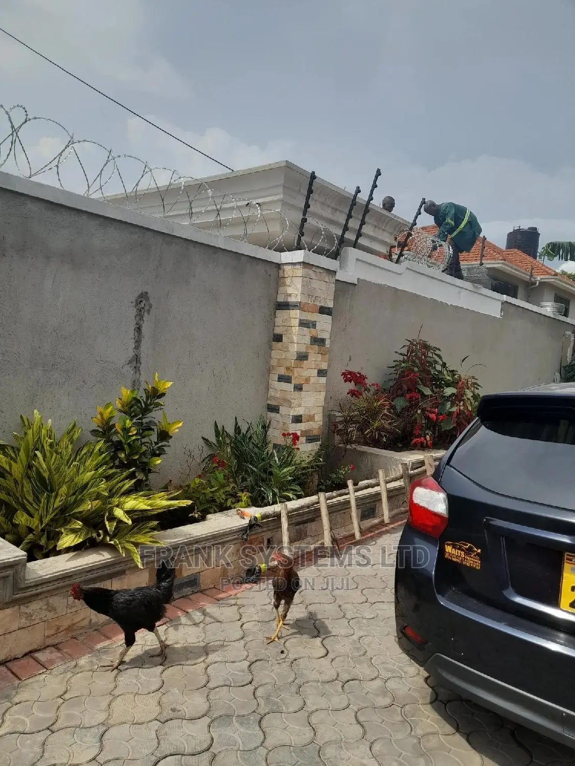 Electric Fence System Fully Equipped