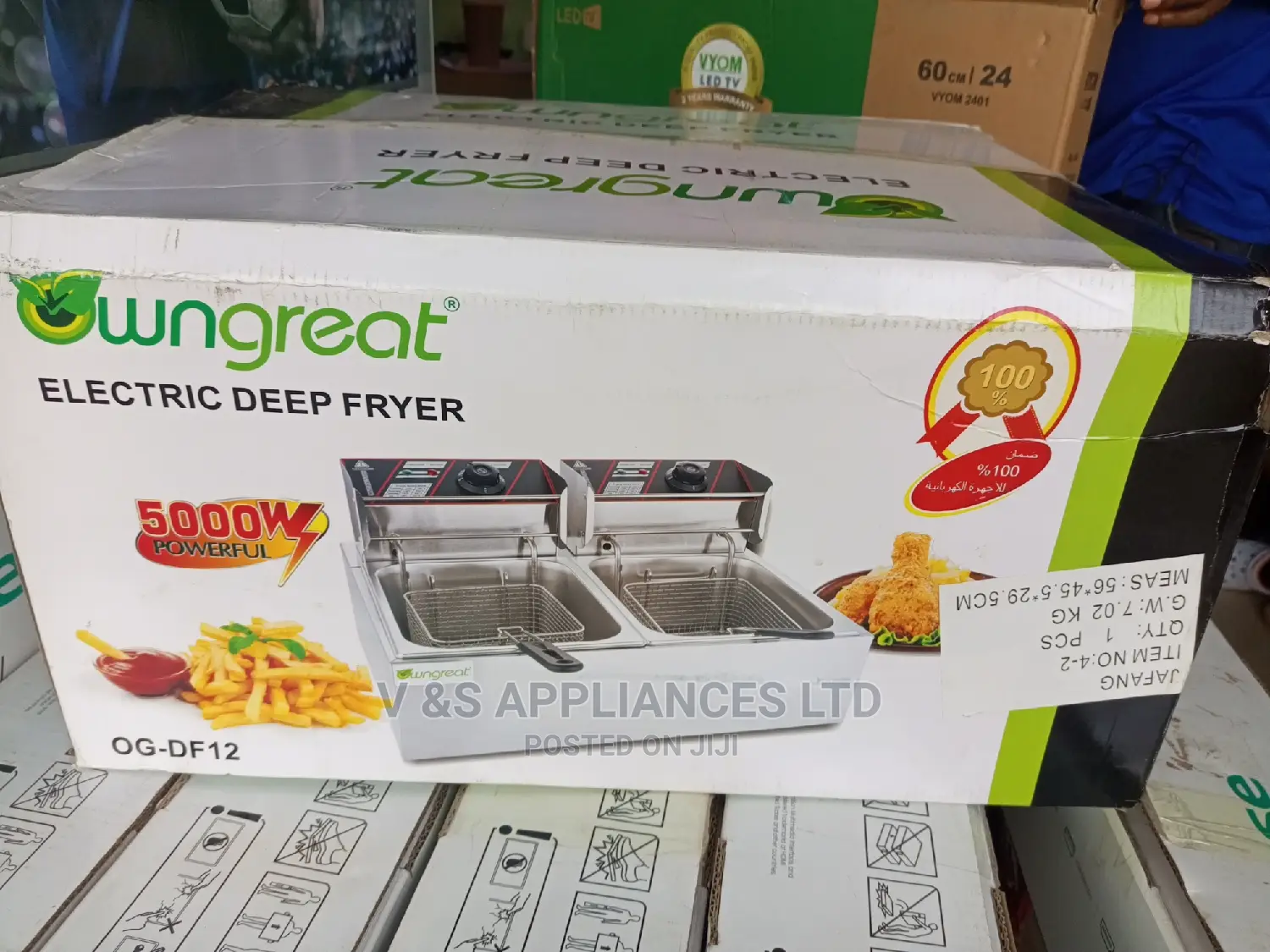 Electric Deep Fryer