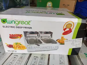 Electric Deep Fryer