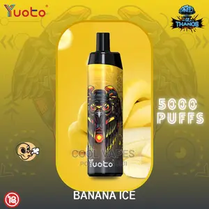 5000 Puffs Disposable Vapes