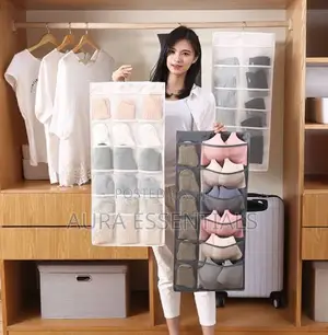 Bra and Socks Organizer
