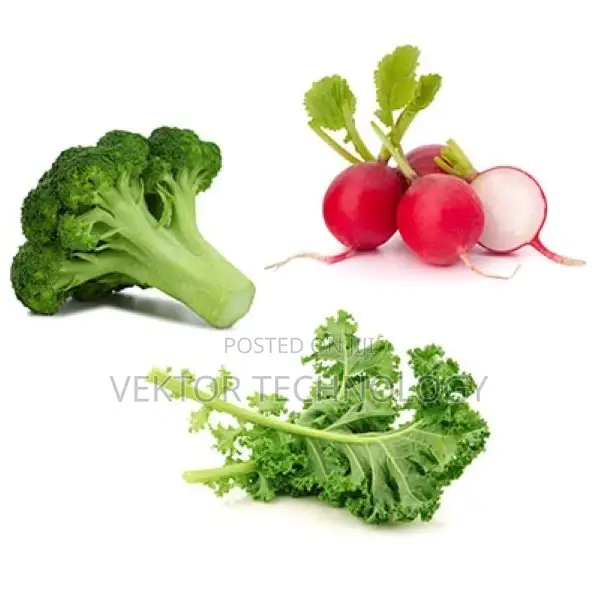 Cruciferous Plus - 60 Tablets