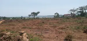 Kawuku Ntebe Rd Affordable Plots With Clear Lake View Onsale