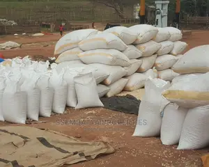 Beans And Maize