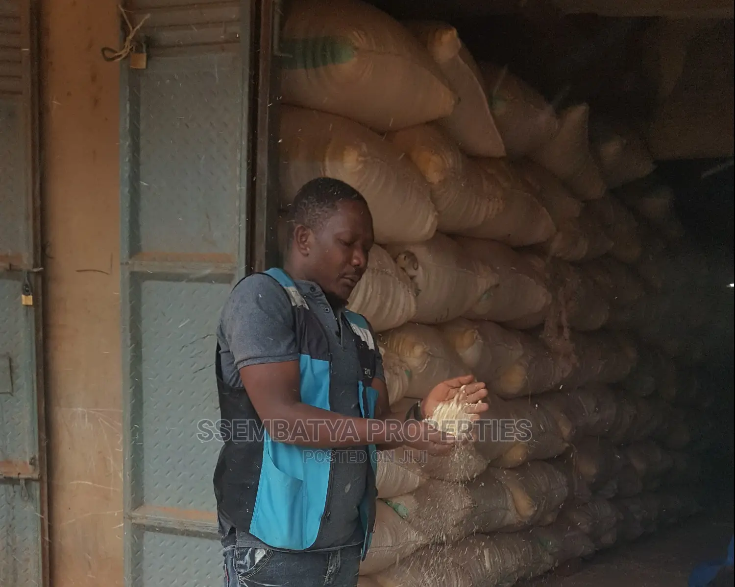 Beans And Maize