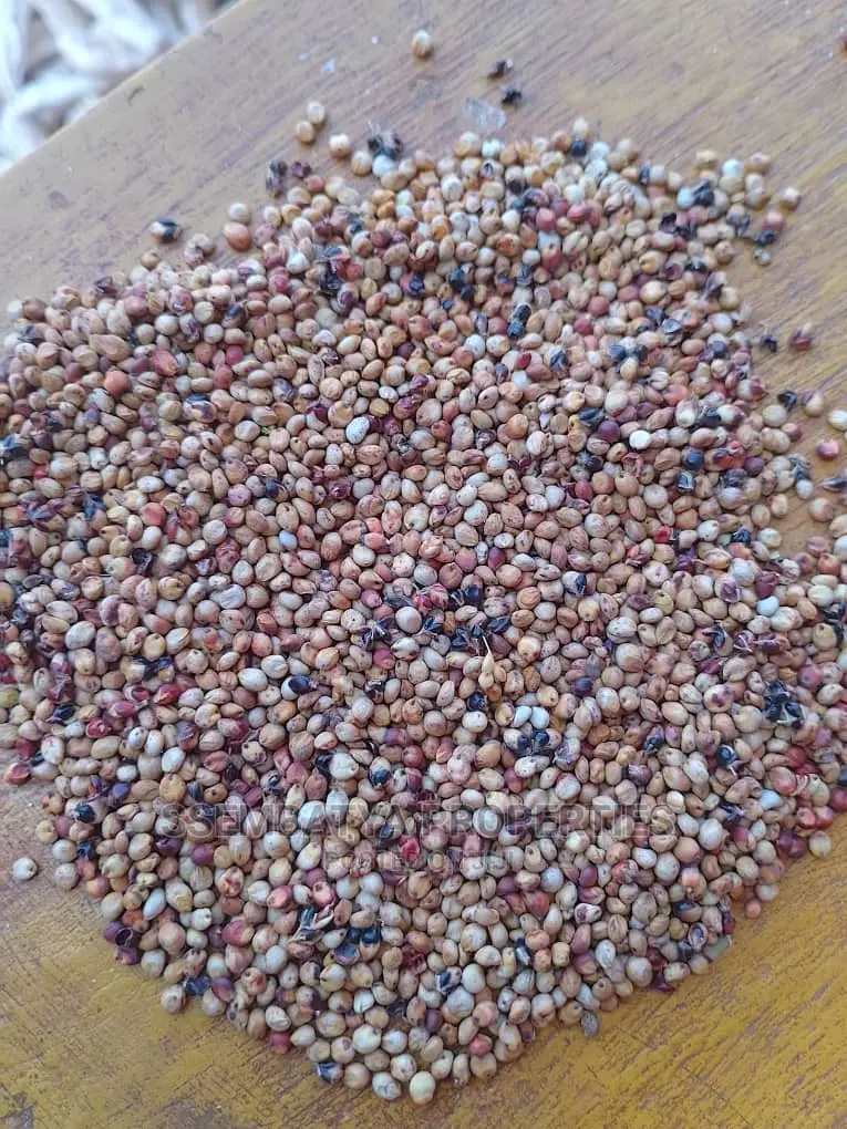 Beans And Maize