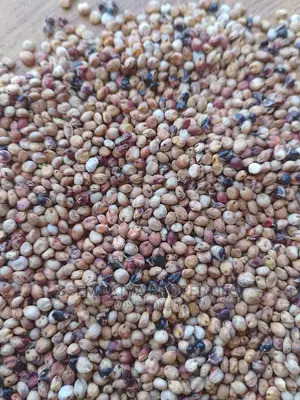 Beans And Maize