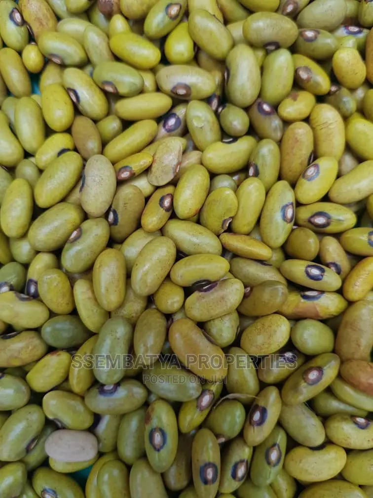 Beans And Maize